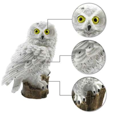 Owlon