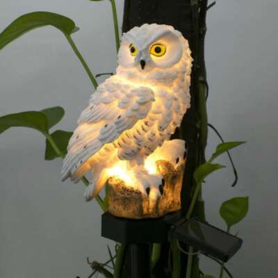 Owlon1