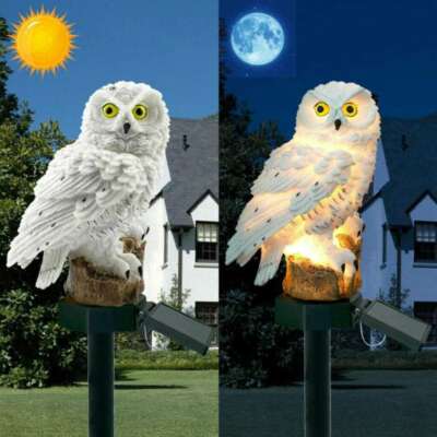 Owlon2