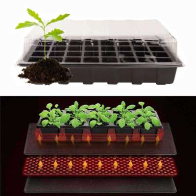 m s 1 EasySeedling v3