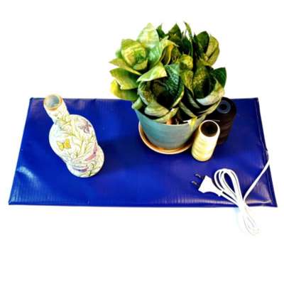 m s 2 EasySeedling